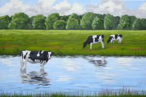 Cows on Outney Common