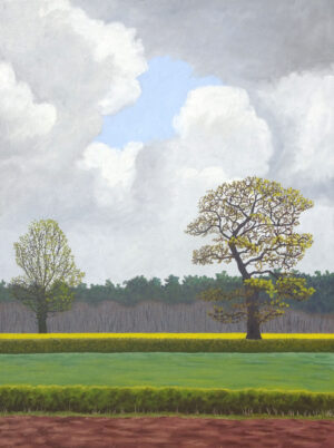 Distant Yellow Fields