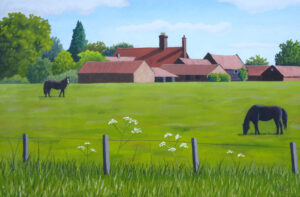 Horse Farm at Hedenham